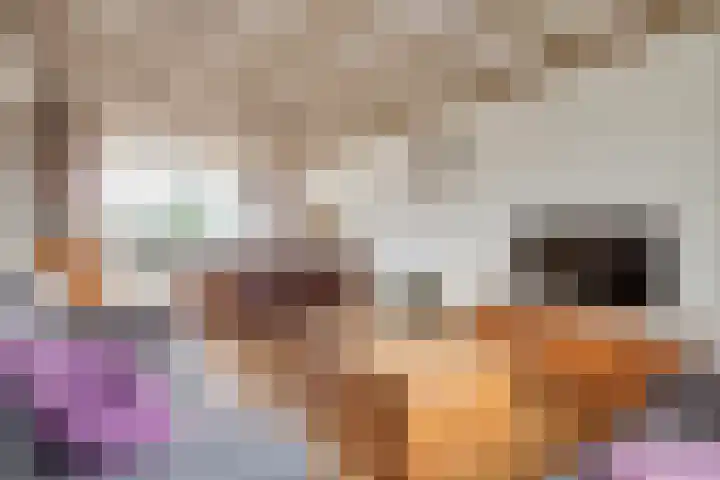 Meergraaf 14 Zoelen thumbnail 8
