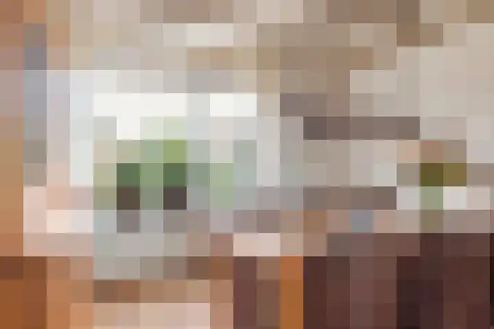 Meergraaf 14 Zoelen thumbnail 9