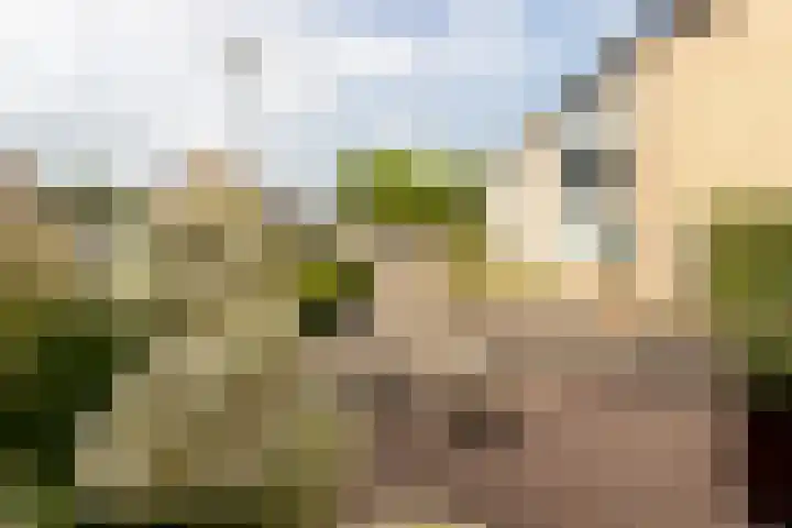 Meergraaf 19 Zoelen thumbnail 12