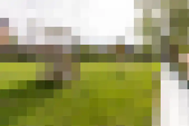 Meergraaf 19 Zoelen thumbnail 14