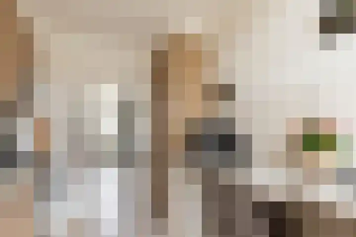 Meergraaf 19 Zoelen thumbnail 29