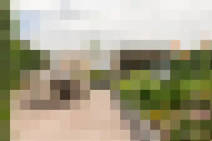 Meergraaf 19 Zoelen thumbnail 35