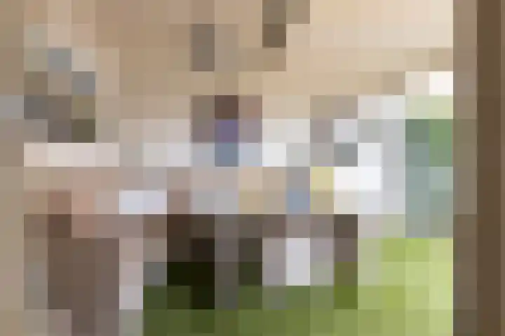 Meergraaf 19 Zoelen thumbnail 42