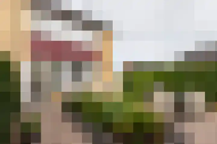 Meergraaf 19 Zoelen thumbnail 45