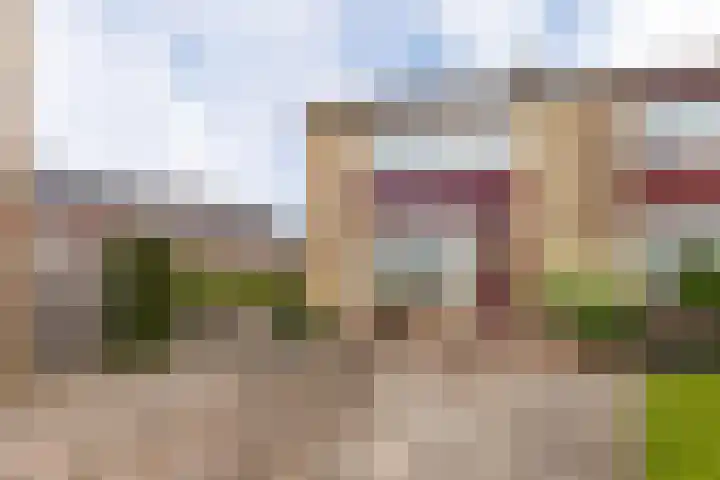 Meergraaf 19 Zoelen thumbnail 5