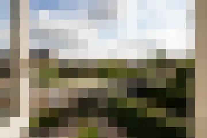 Meergraaf 19 Zoelen thumbnail 53