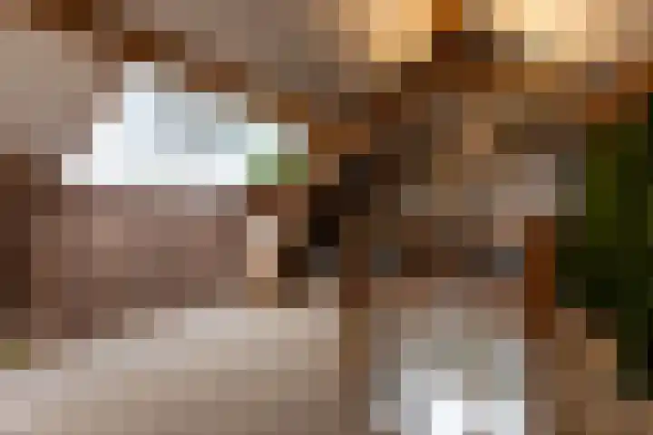 Meergraaf 19 Zoelen thumbnail 64
