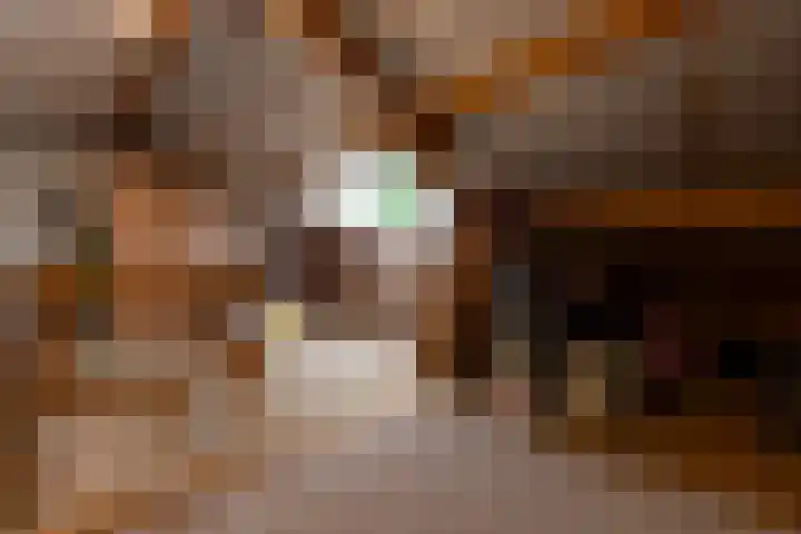 Meergraaf 19 Zoelen thumbnail 65
