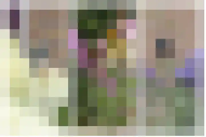 Meergraaf 19 Zoelen thumbnail 7