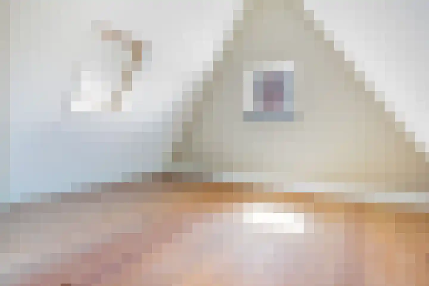 Meergracht 4 Volendam thumbnail 30