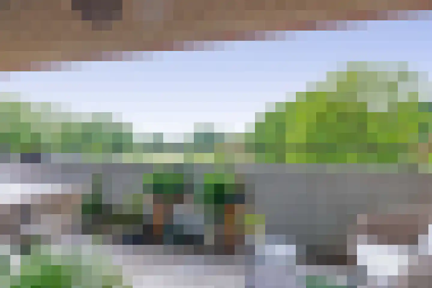 Meergras 64 Eindhoven thumbnail 33
