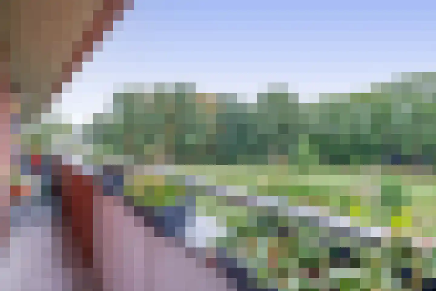 Meergras 64 Eindhoven thumbnail 36