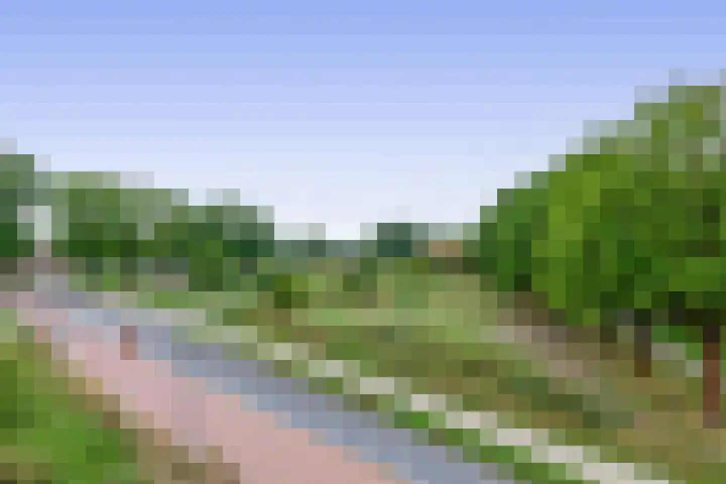 Meergras 64 Eindhoven thumbnail 37