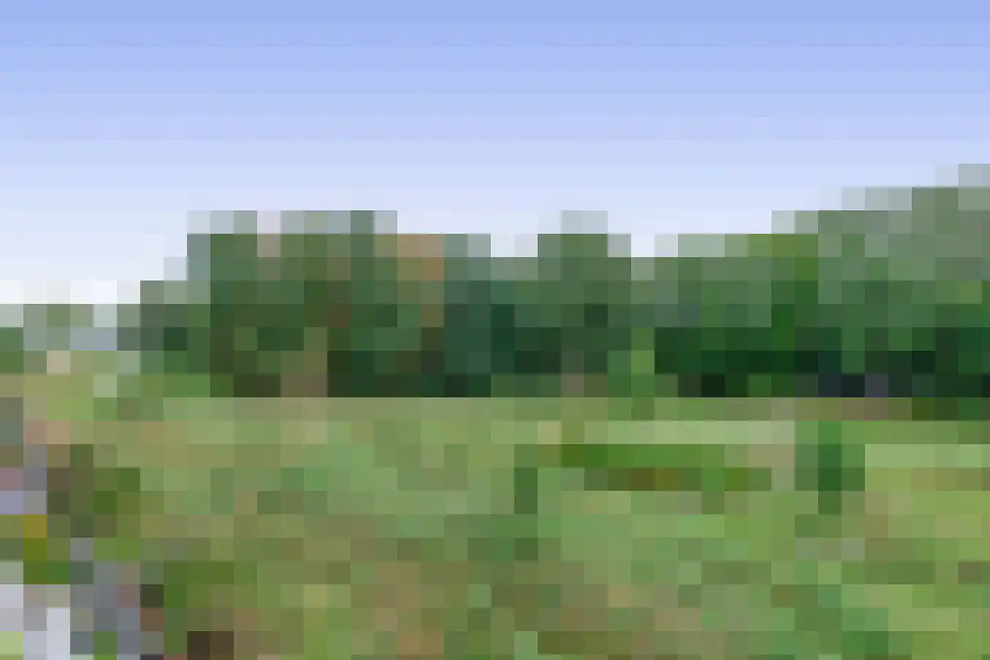 Meergras 64 Eindhoven thumbnail 38
