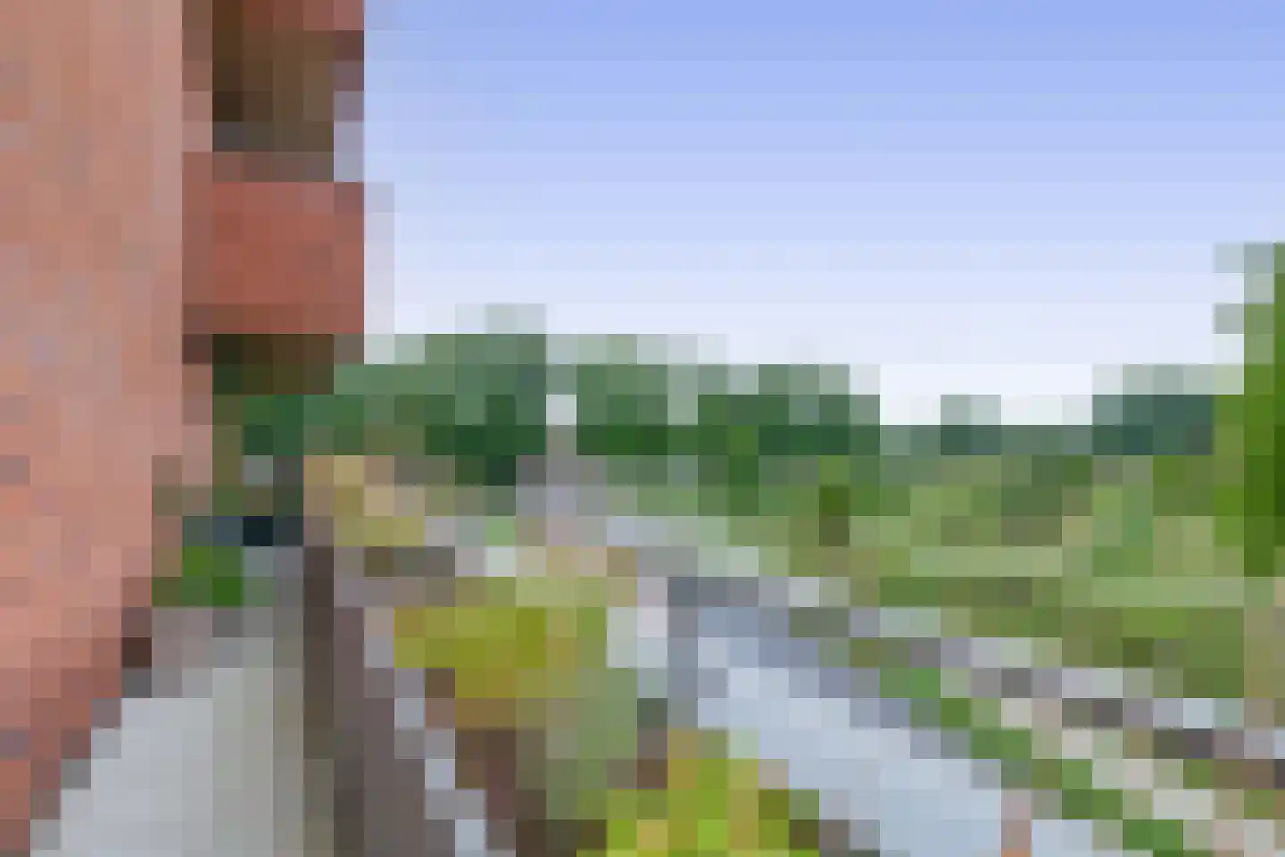Meergras 64 Eindhoven thumbnail 40