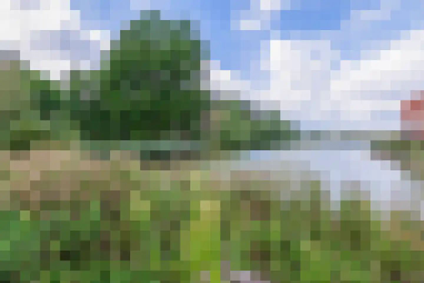 Meergras 64 Eindhoven thumbnail 50