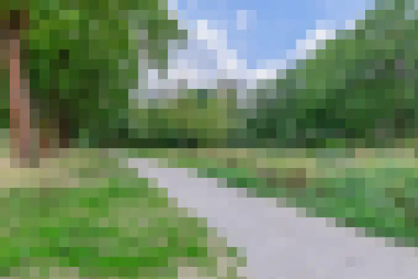 Meergras 64 Eindhoven thumbnail 51
