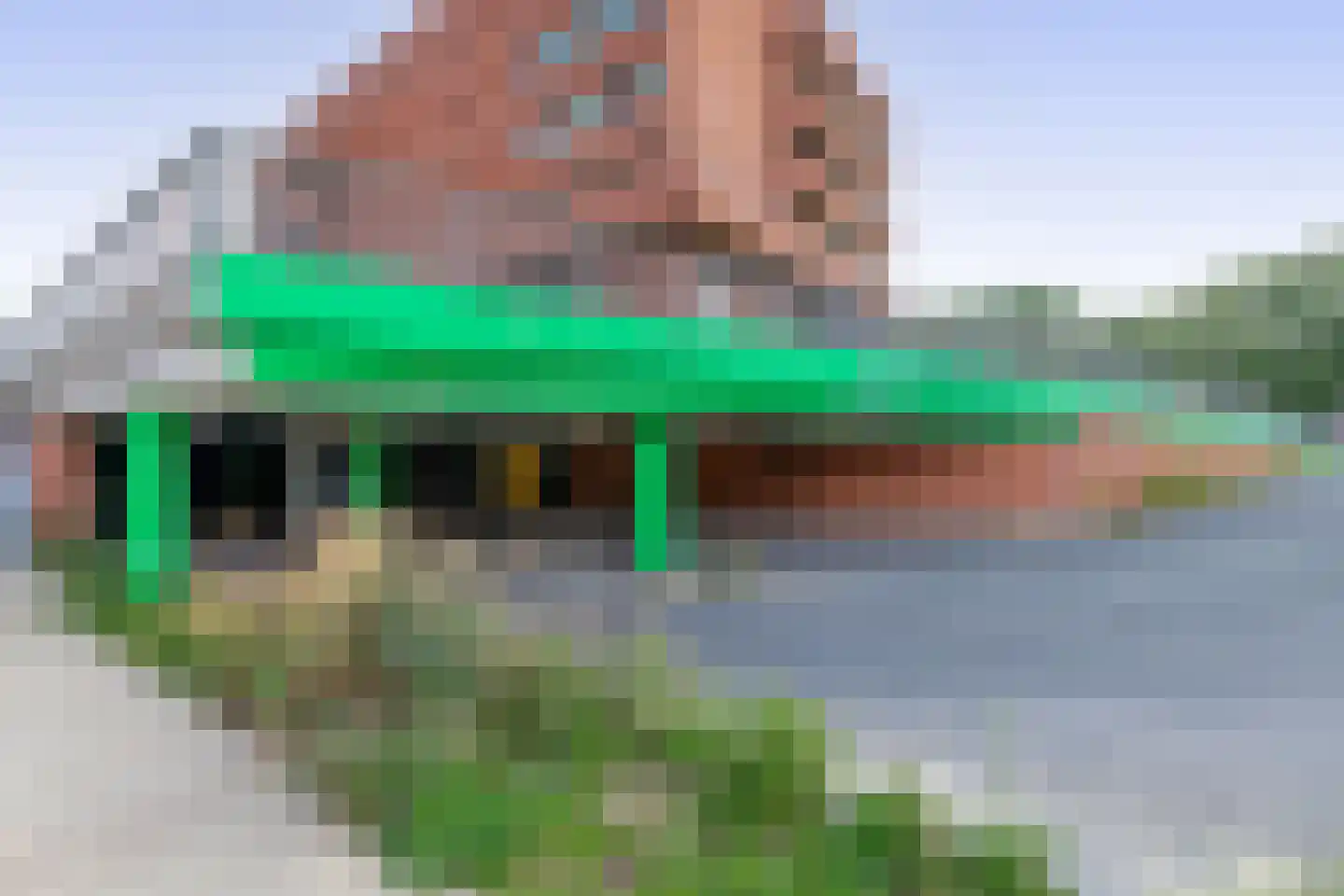 Meergras 64 Eindhoven thumbnail 52