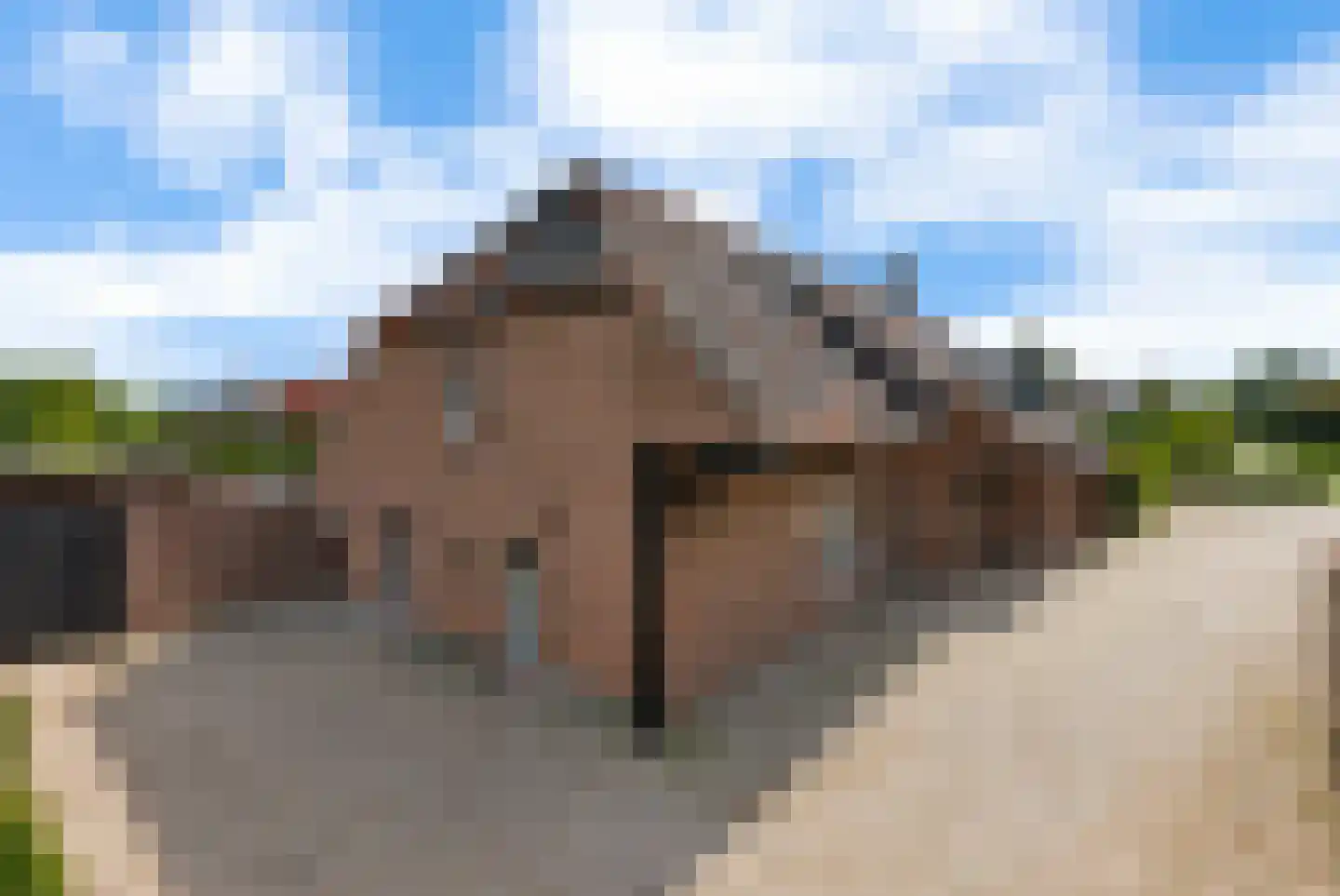 Meerhoek 12 in Genderen
