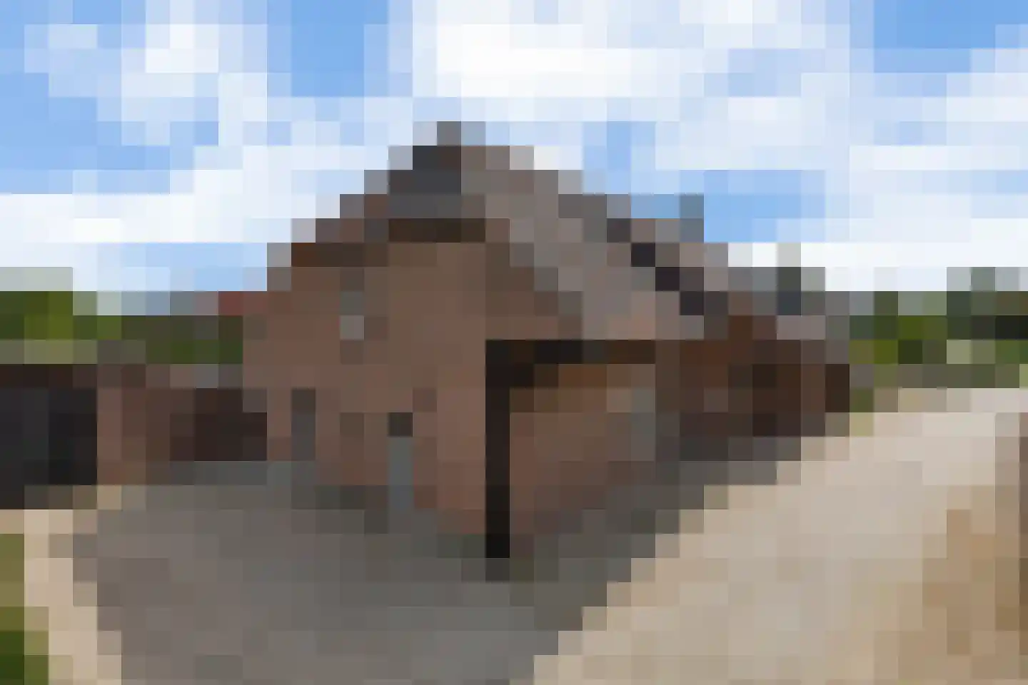 Meerhoek 12 Genderen