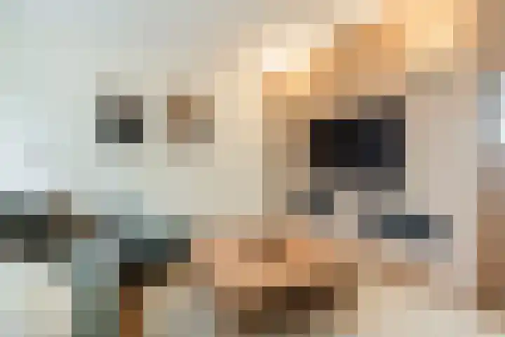 Meerhoek 207 Uden thumbnail 17