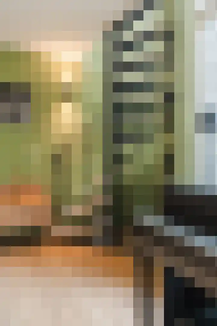 Meerhoek 207 Uden thumbnail 20