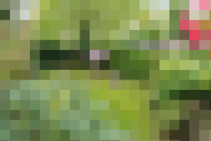 Meerhoek 207 Uden thumbnail 33