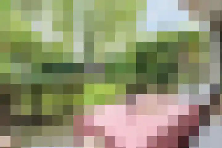 Meerhoek 207 Uden thumbnail 37
