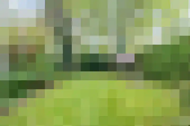 Meerhoek 207 Uden thumbnail 38