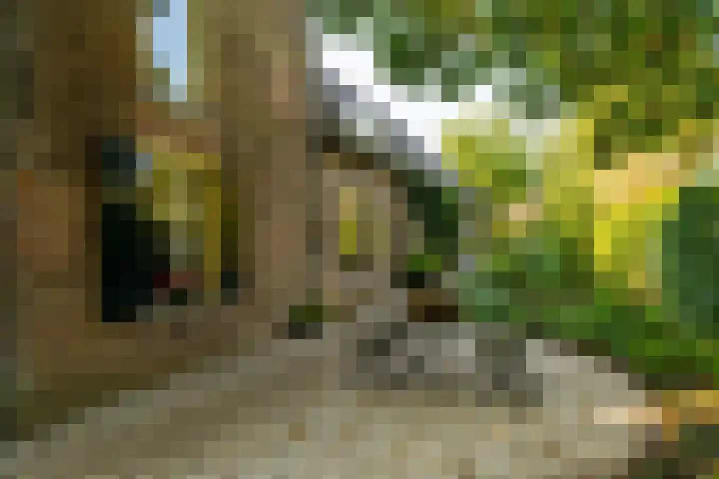 Meerhoek 27 Genderen thumbnail 10