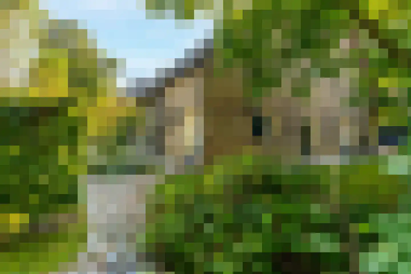 Meerhoek 27 Genderen thumbnail 5