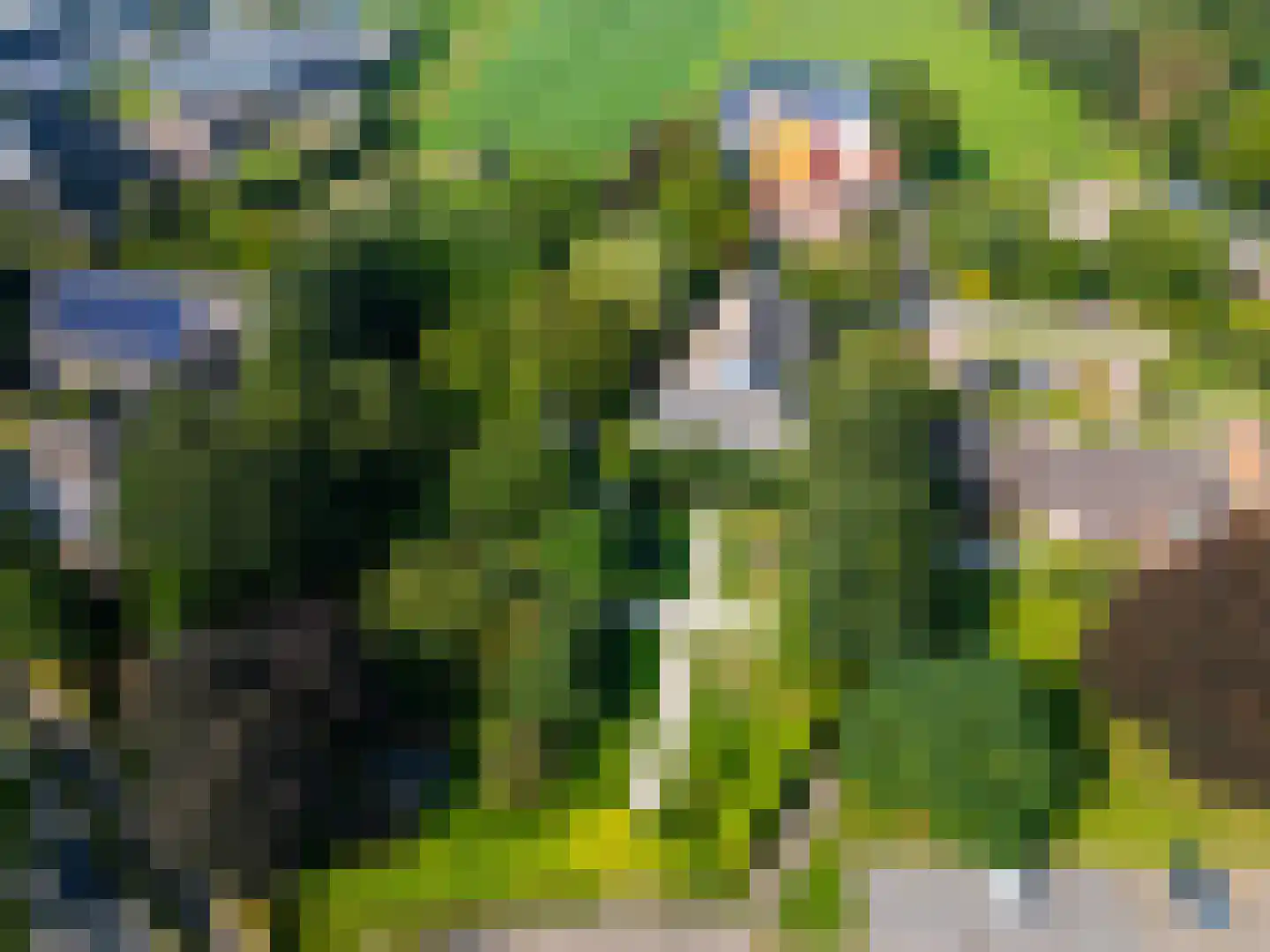 Meerhoek 27 Genderen thumbnail 50