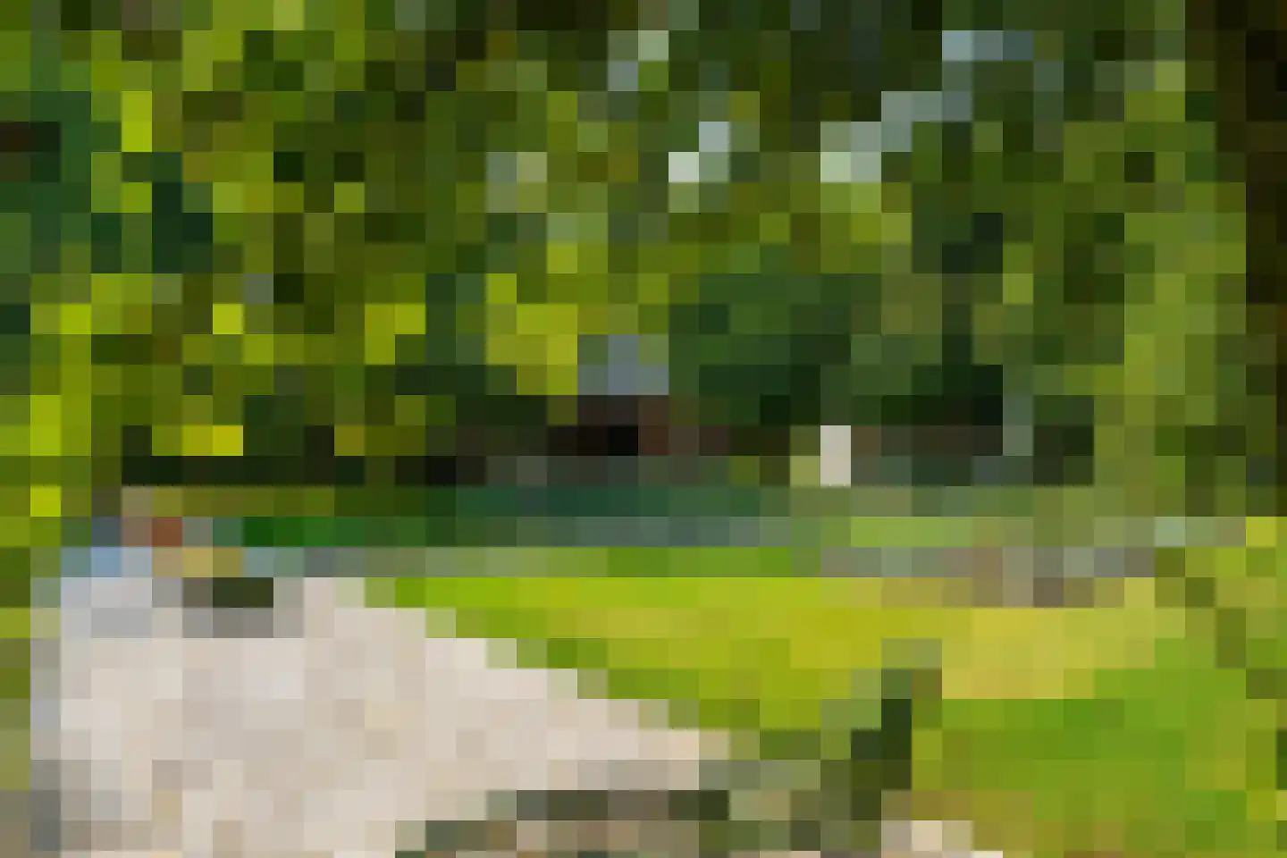 Meerhoek 27 Genderen thumbnail 56