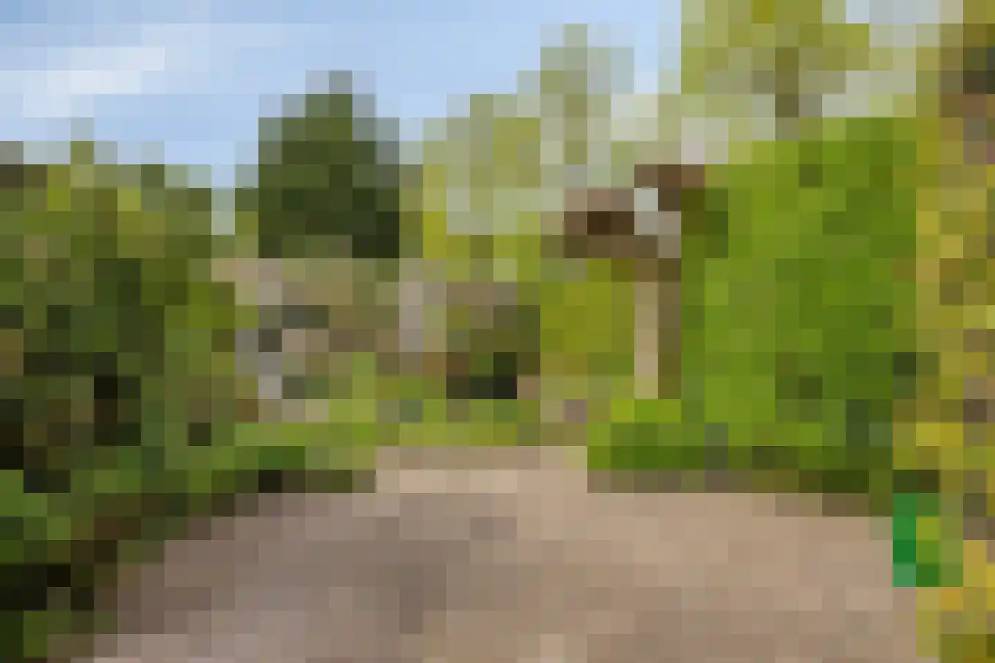 Meerhoek 601 Uden thumbnail 39