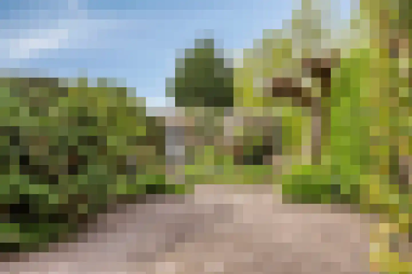 Meerhoek 601 Uden thumbnail 39