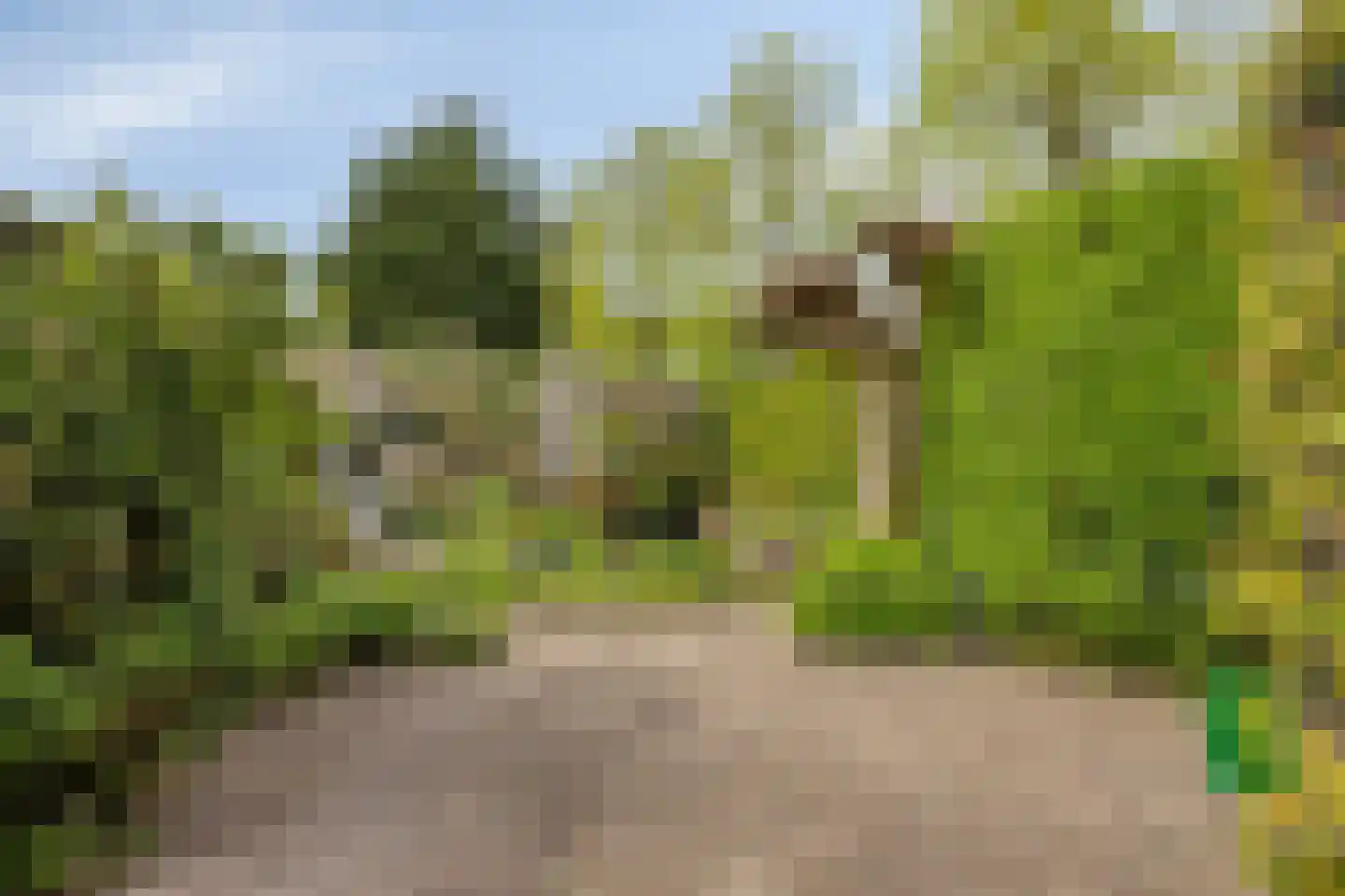 Meerhoek 601 Uden thumbnail 40