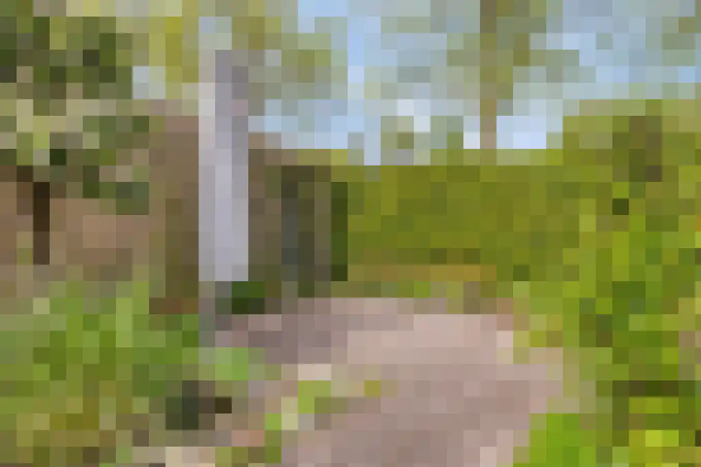 Meerhoek 601 Uden thumbnail 41