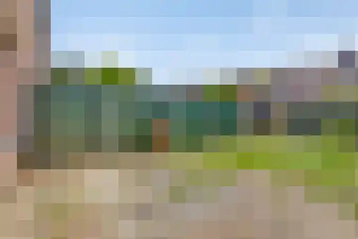 Meerhof 26 Leiden thumbnail 33