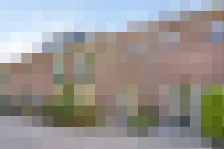 Meerhof 26 Leiden thumbnail 44