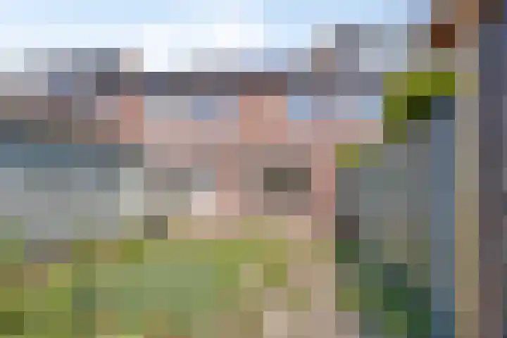 Meerhof 26 Leiden thumbnail 6