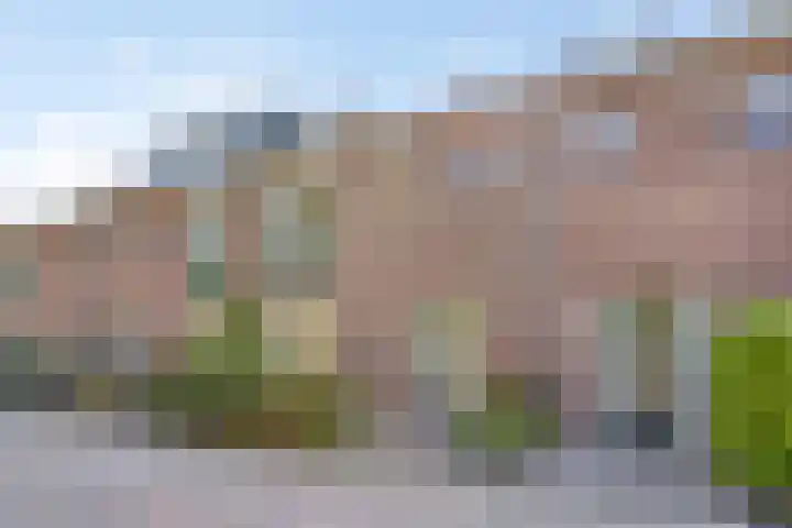 Meerhof 26 Leiden thumbnail 7