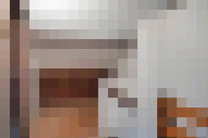 Meerhoutstraat 65 Breda thumbnail 26