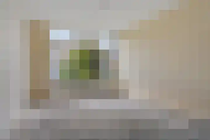 Meerhoutstraat 7 Breda thumbnail 9