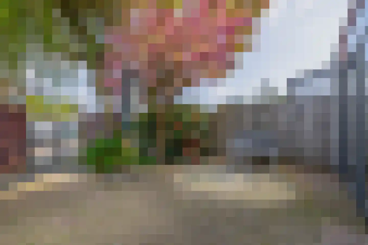 Meerhovendreef 13 Eindhoven thumbnail 35