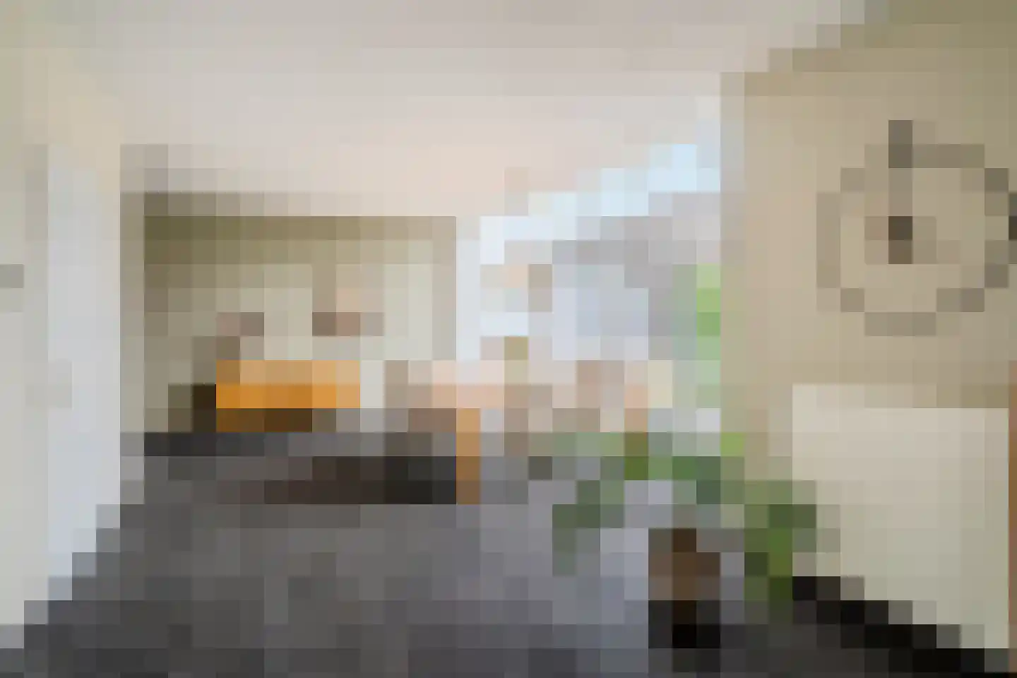 Meerhovendreef 20 Eindhoven thumbnail 13