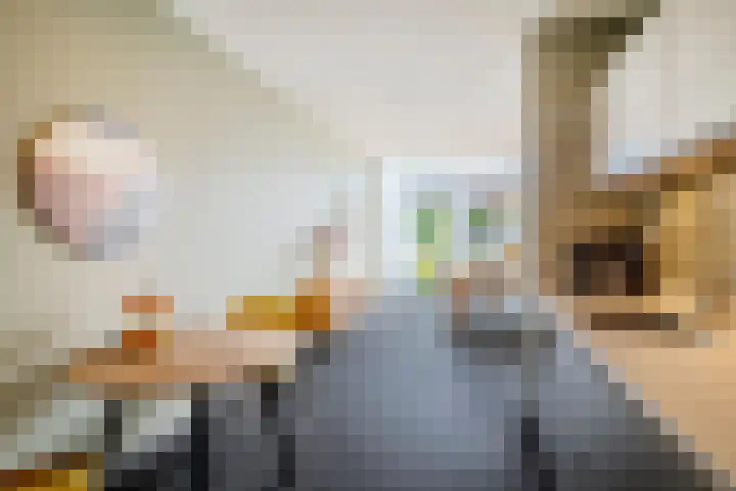 Meerhovendreef 20 Eindhoven thumbnail 14