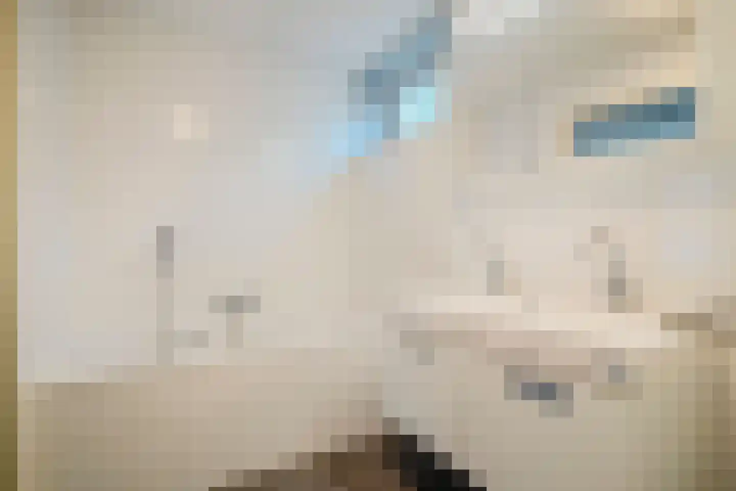 Meerhovendreef 20 Eindhoven thumbnail 21