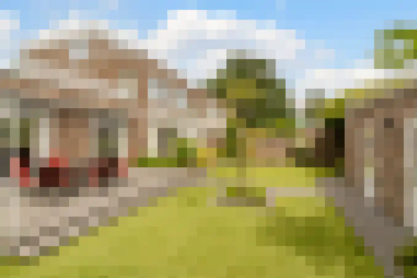 Meerhovendreef 20 Eindhoven thumbnail 32