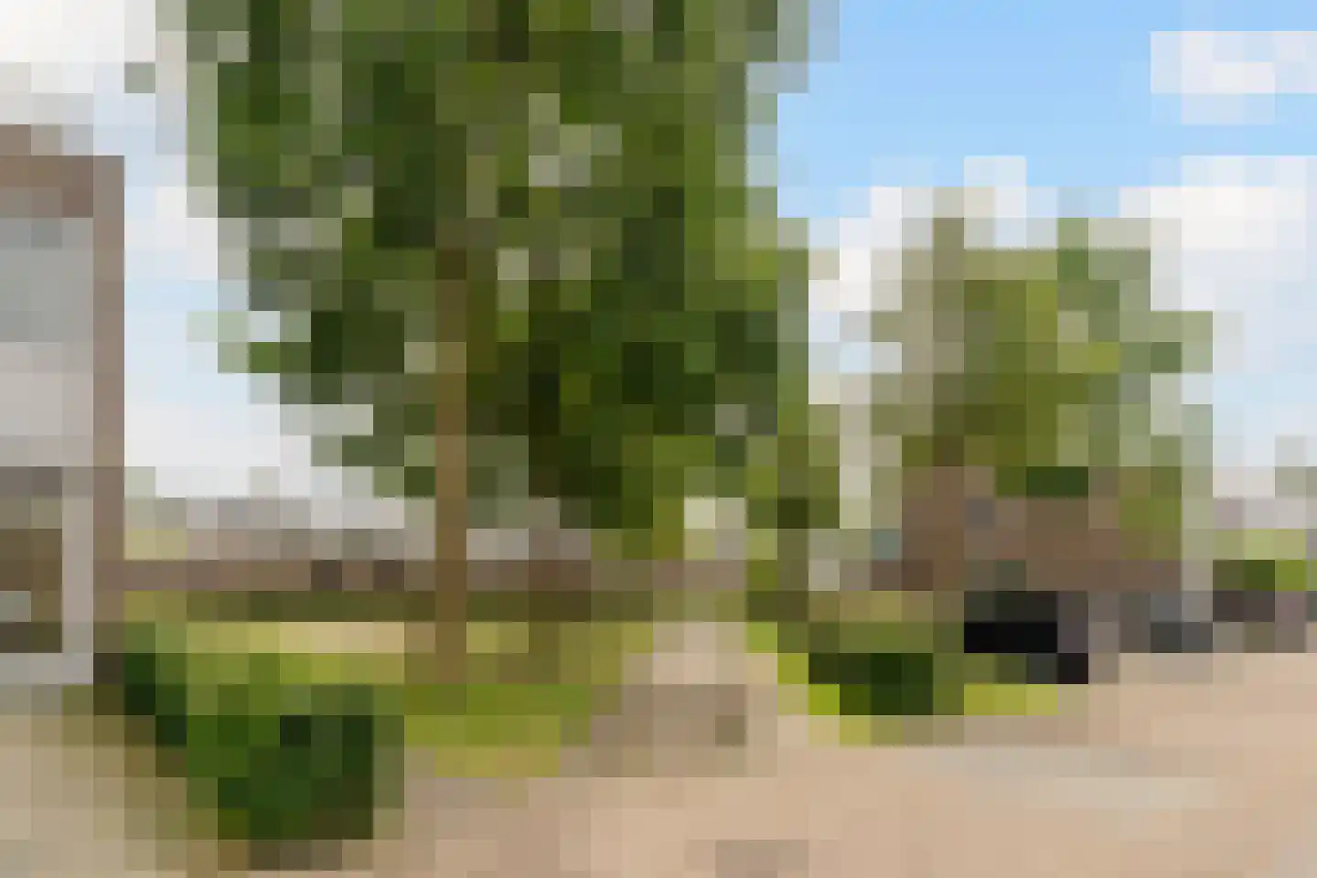 Meerhovendreef 20 Eindhoven thumbnail 34