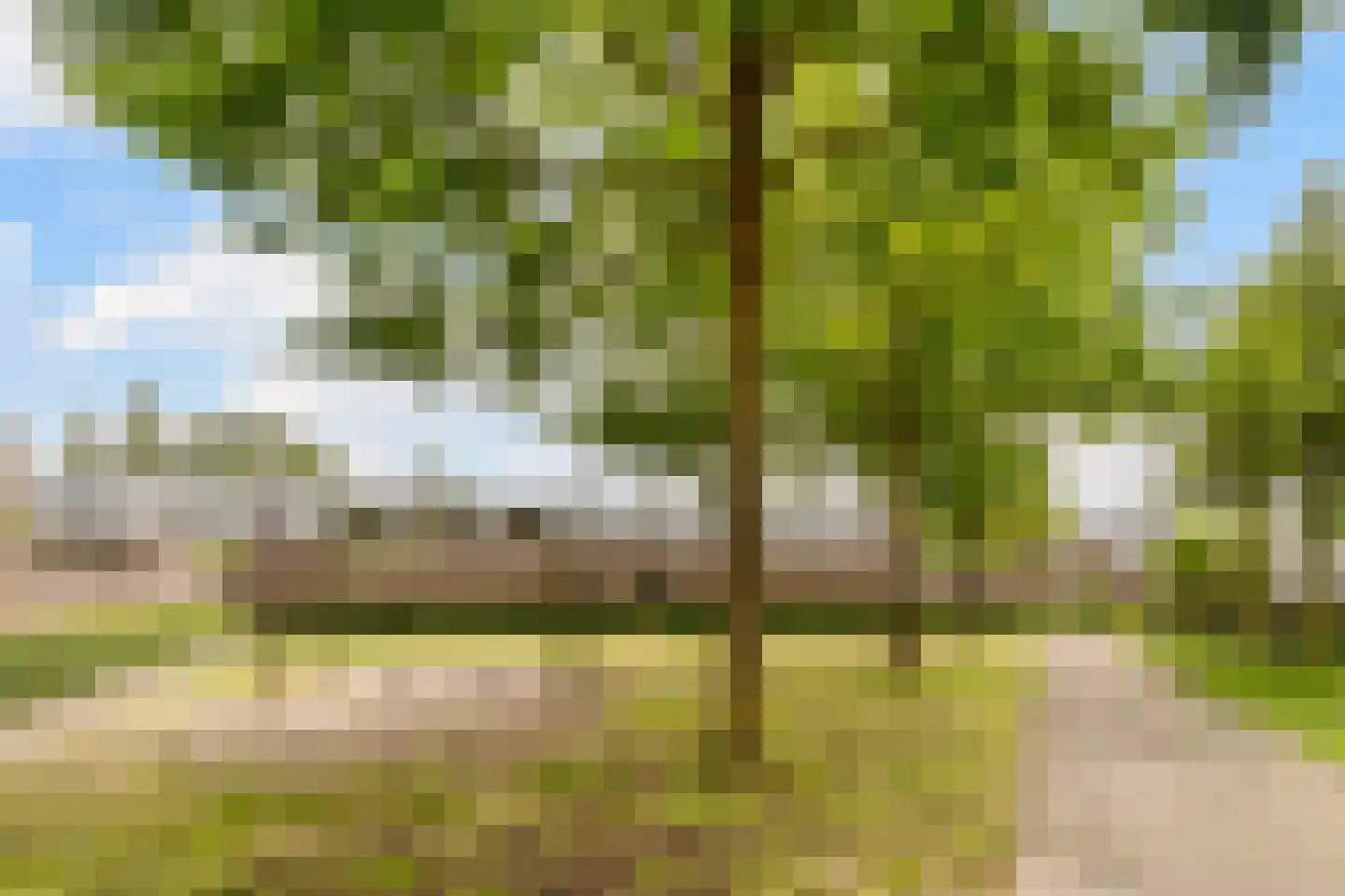 Meerhovendreef 20 Eindhoven thumbnail 35